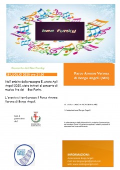 Concerto di musica dei Bee Funky